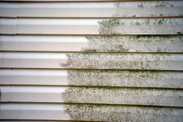 Best Steel Siding Installation  in San Rlos, CA