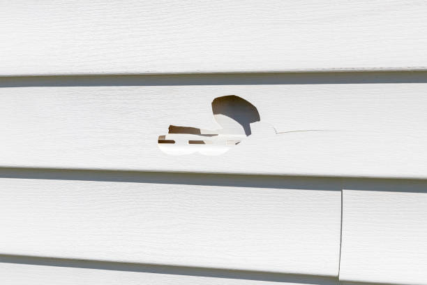 Best Fascia and Soffit Installation  in San Rlos, CA