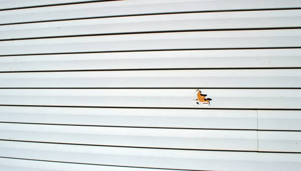 Best Siding for New Construction  in San Rlos, CA