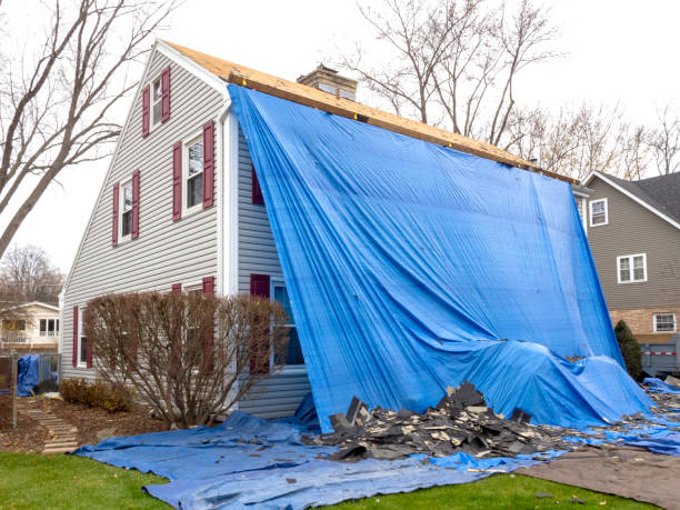 Best Insulated Siding Installation  in San Rlos, CA